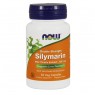 Silymarin, Double Strength 300 mg Veg Capsules