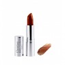 RAL BRONZE