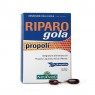 Riparo gola propoli
