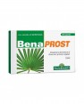 Sistema Benaprost