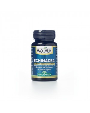 Maximum Echinacea