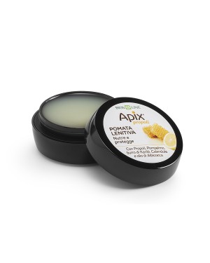 APIX PROPOLI POMADE ZBUTESE 