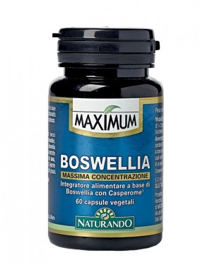 Maximum Boswellia
