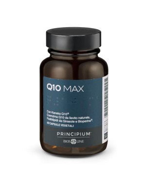 Principium Q-10 Max